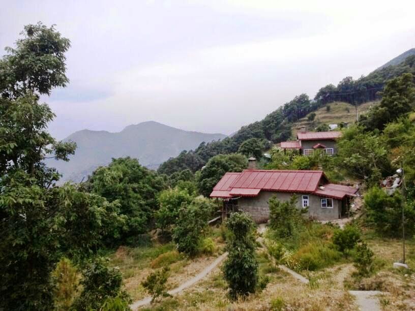 Photo of In Between The Hills- Pangot 6/8 by Nancy Agarwal