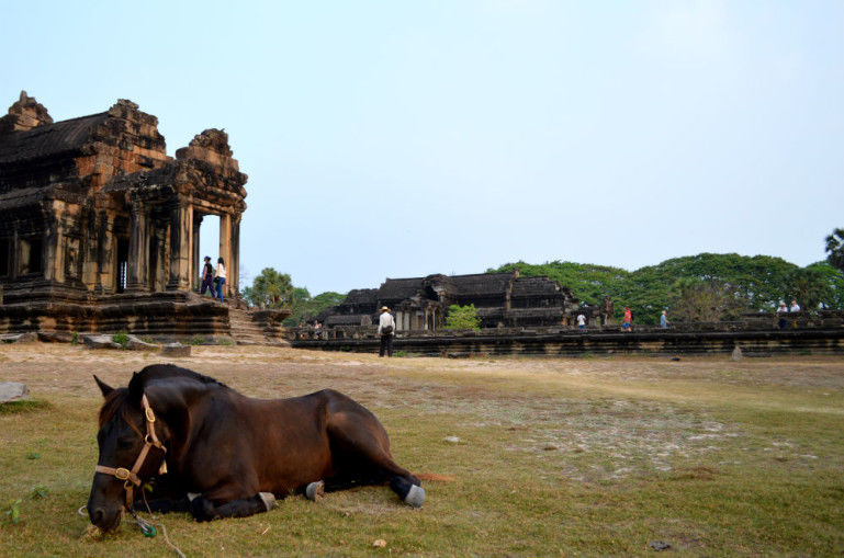 Photo of Angkor Wat Revealed 4/5 by Rebekah Voss