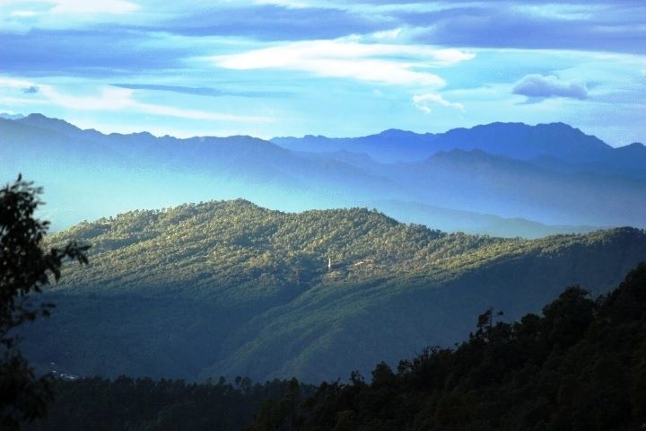 Photo of Binsar:My Safe Place 6/6 by Anushree Deo