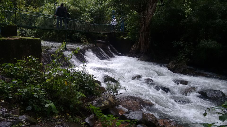 Photo of A trip to Coorg 1/10 by Adithya Rao