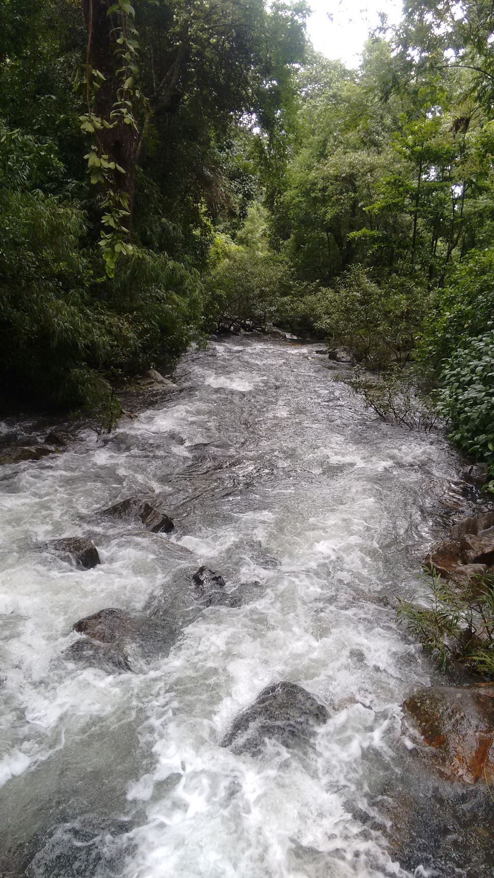 Photo of A trip to Coorg 2/10 by Adithya Rao