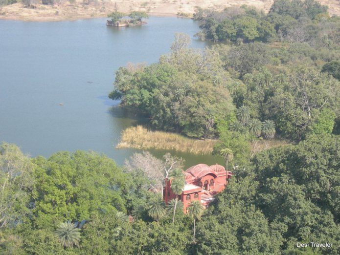 Photo of Ranthambore: Where Time Stands Still 3/5 by Prasad Np