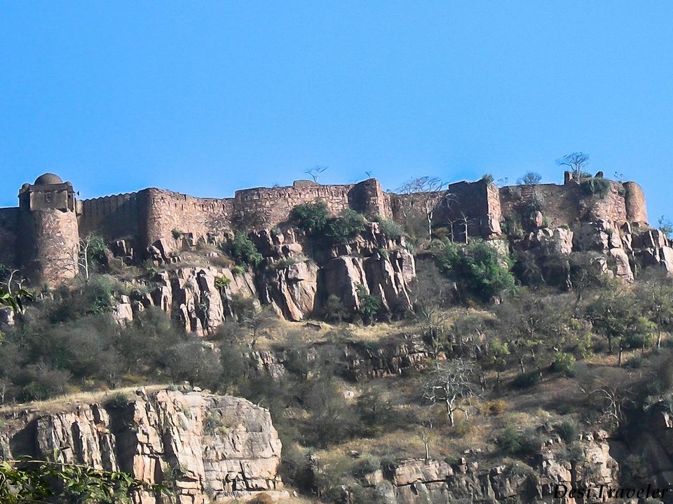 Photo of Ranthambore: Where Time Stands Still 4/5 by Prasad Np