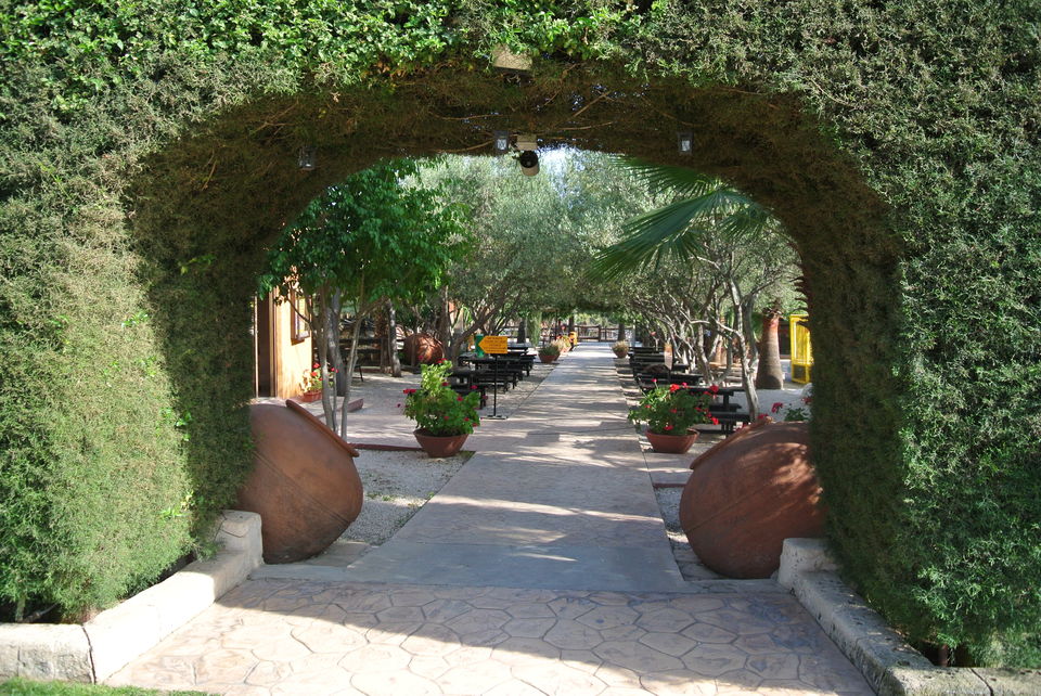 Photo of Camel Park, Mazotos, Larnaca, Cyprus by Kayli Olson