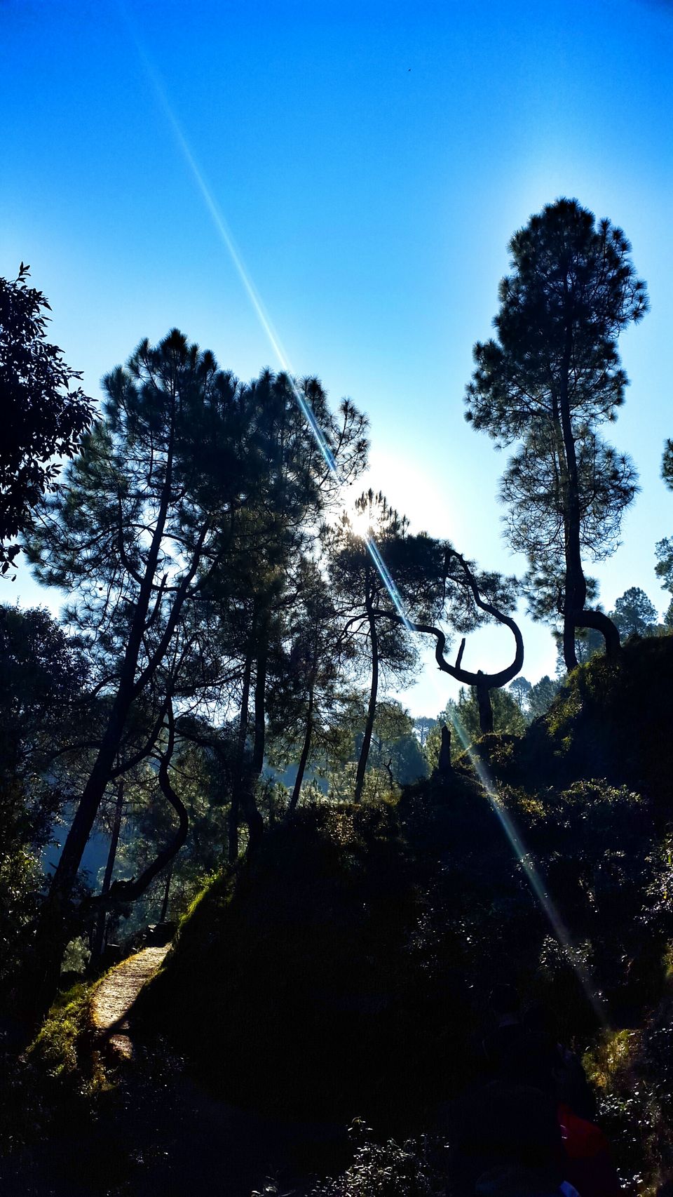 Photo of Into the Kumaon ranges... ! 5/11 by Kunjal Karaniya