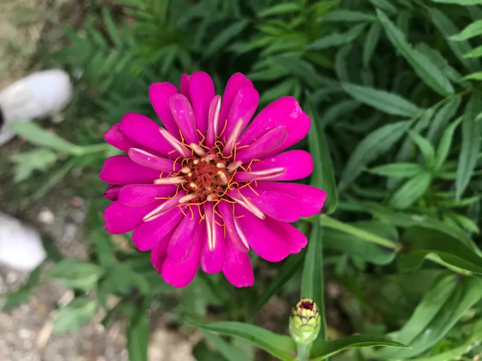 Photo of Bahundanda by Priyesh Fcb Damania