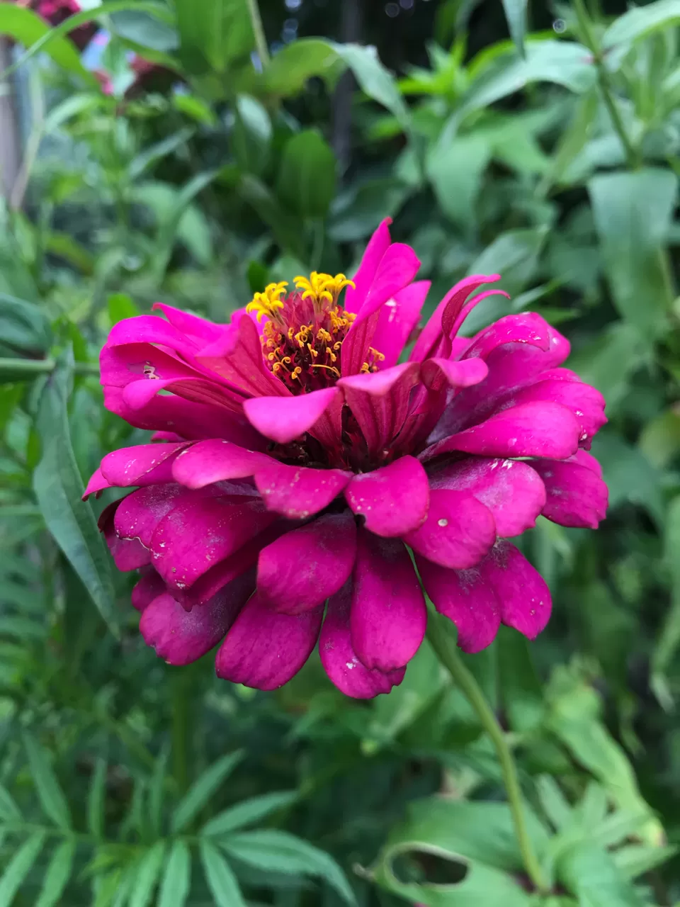 Photo of Bahundanda by Priyesh Fcb Damania