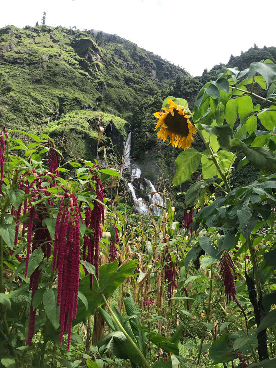 Photo of Annapurna Circuit Trek (1/2) by Priyesh Fcb Damania