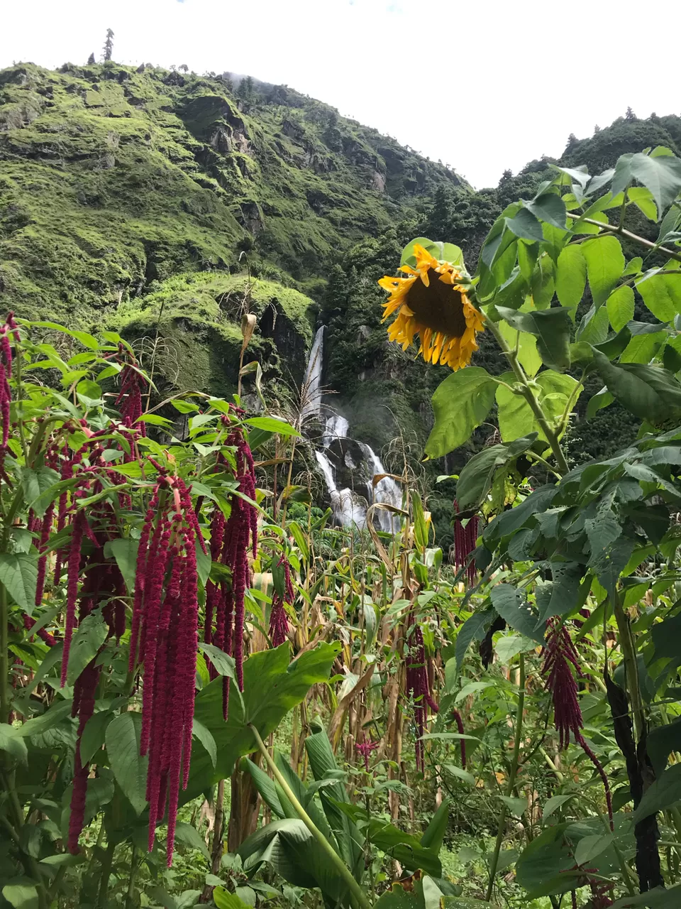 Photo of Annapurna Circuit Trek (1/2) by Priyesh Fcb Damania