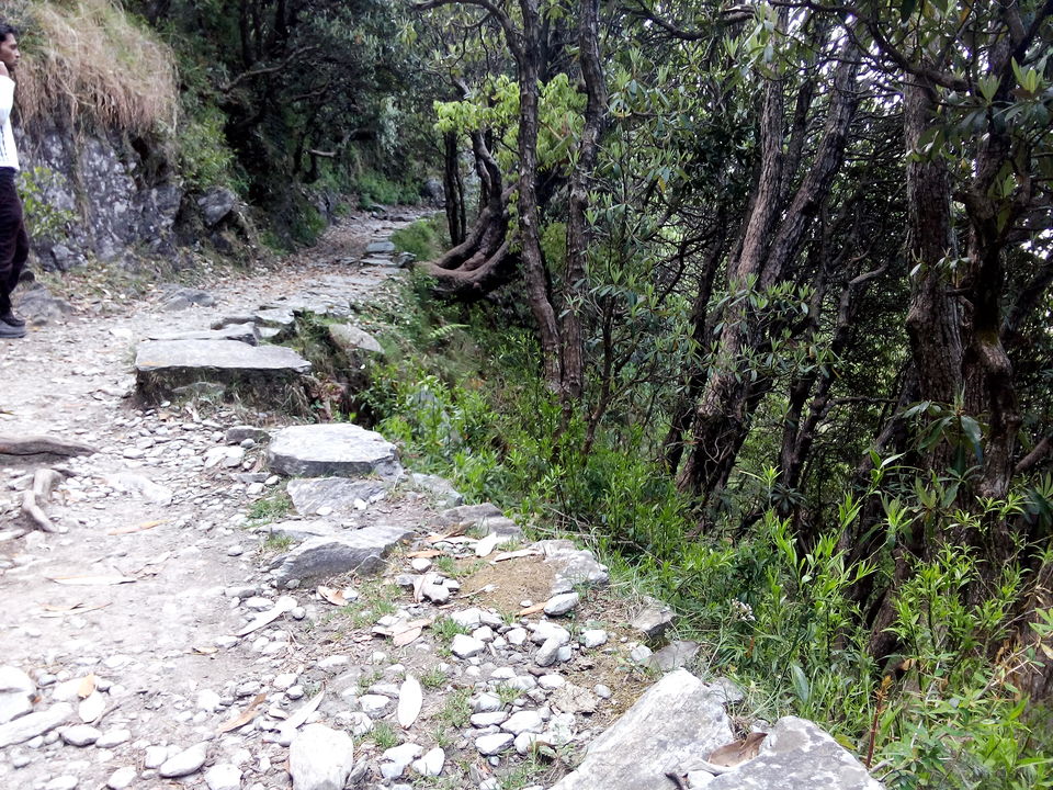 Photo of A Triund treat 1/19 by Prachi