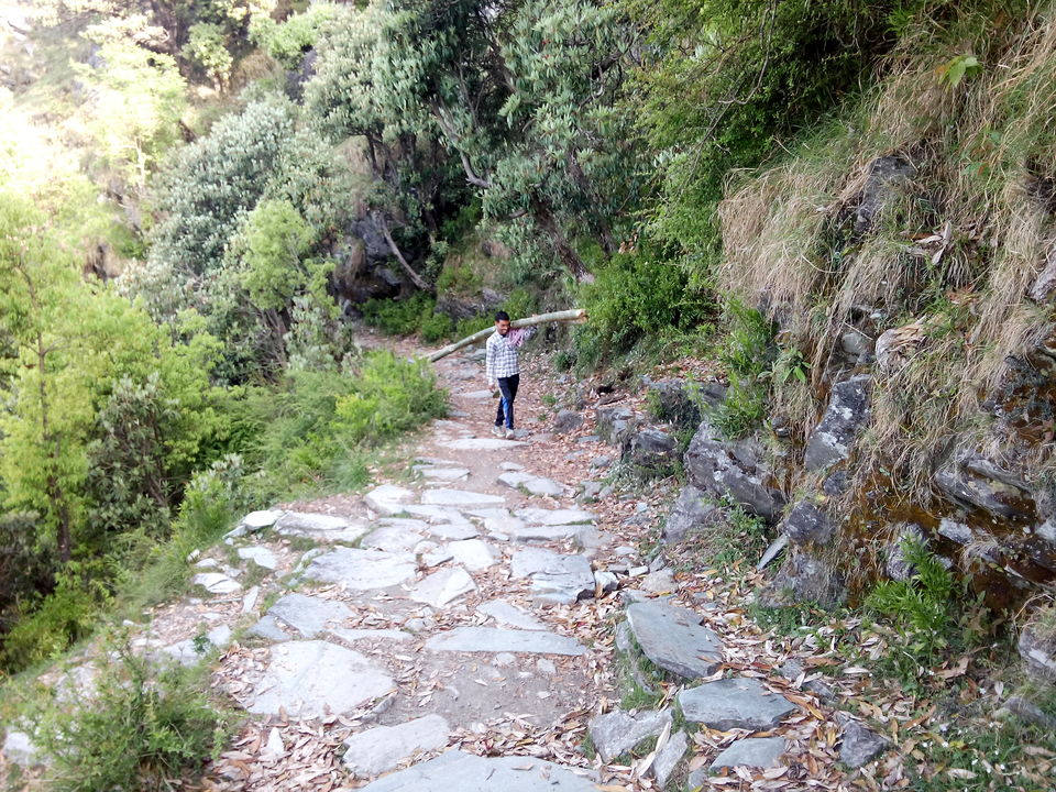 Photo of A Triund treat 2/19 by Prachi