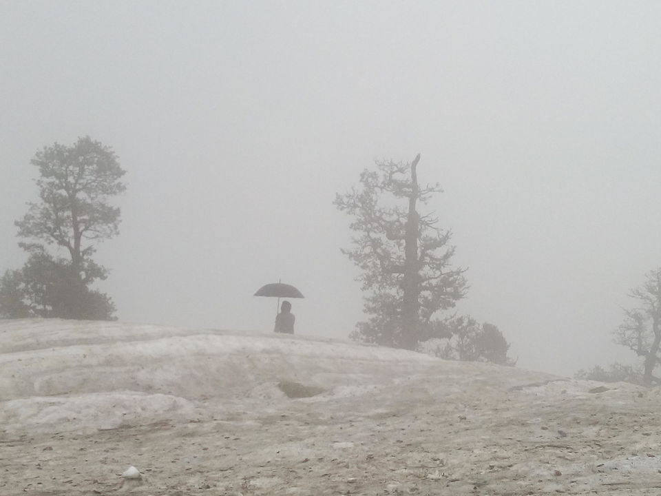 Photo of A Triund treat 7/19 by Prachi
