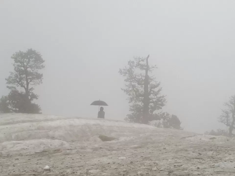Photo of Triund Hill, Dharamshala, Himachal Pradesh, India by Prachi