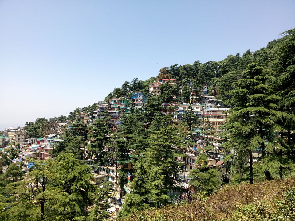 Photo of A Triund treat 17/19 by Prachi