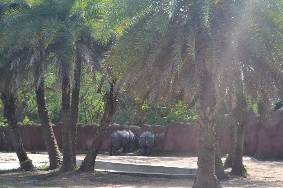 Photo of A day in Nehru Zoological Park by Upendra Manve
