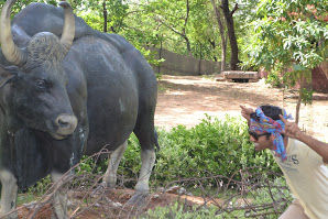 Photo of A day in Nehru Zoological Park by Upendra Manve
