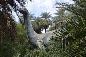 Photo of A day in Nehru Zoological Park by Upendra Manve