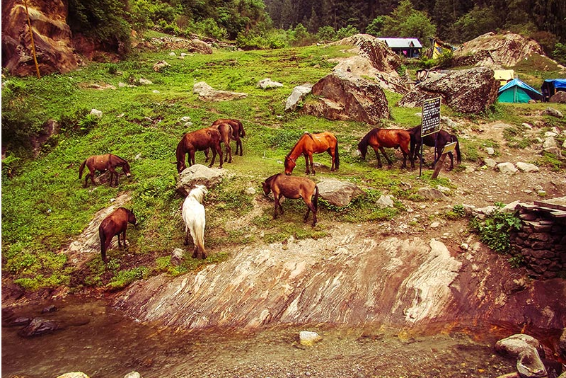 Photo of Hippie Trail of magical valley | Kheerganga 11/23 by Avnish Dhoundiyal