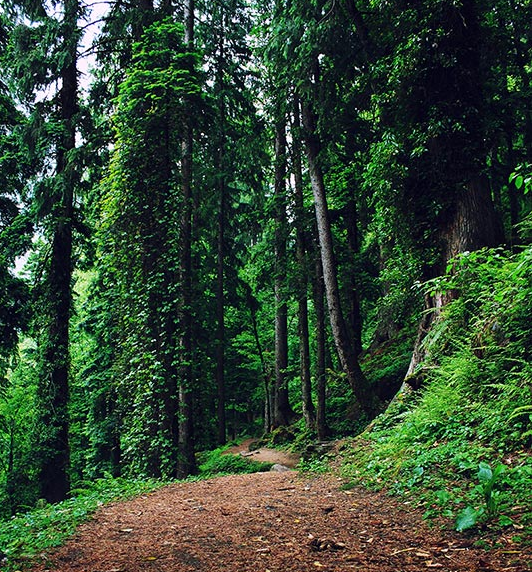 Photo of Hippie Trail of magical valley | Kheerganga 18/23 by Avnish Dhoundiyal