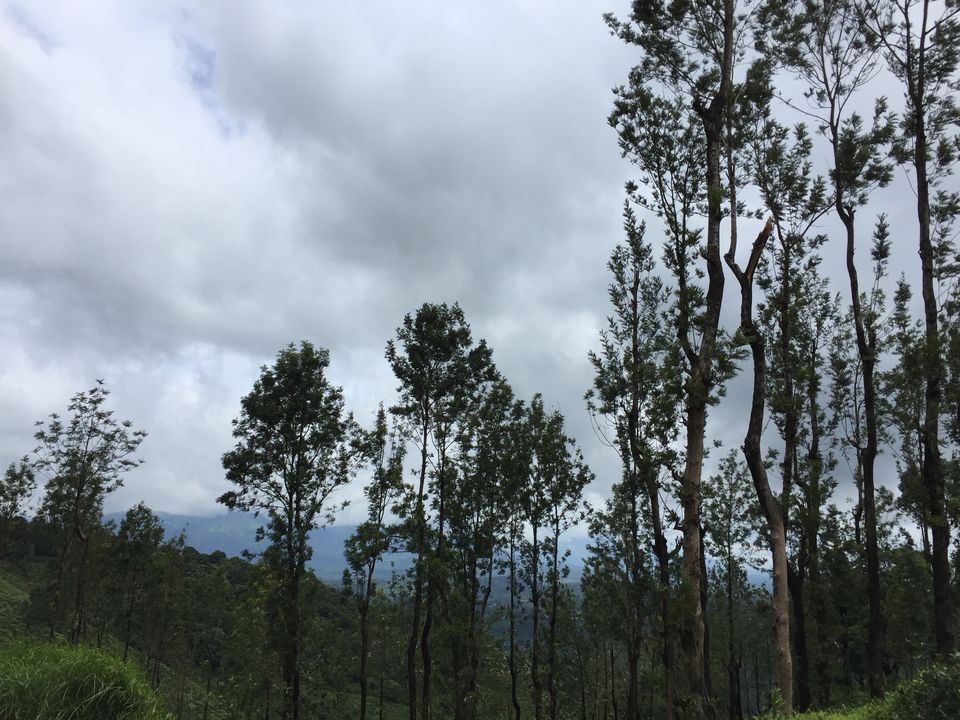 Photo of Wayanad - The South Indian Beauty 2/5 by Isha Borah