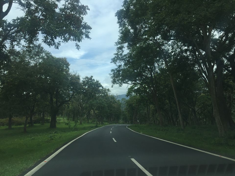 Photo of Wayanad - The South Indian Beauty 4/5 by Isha Borah
