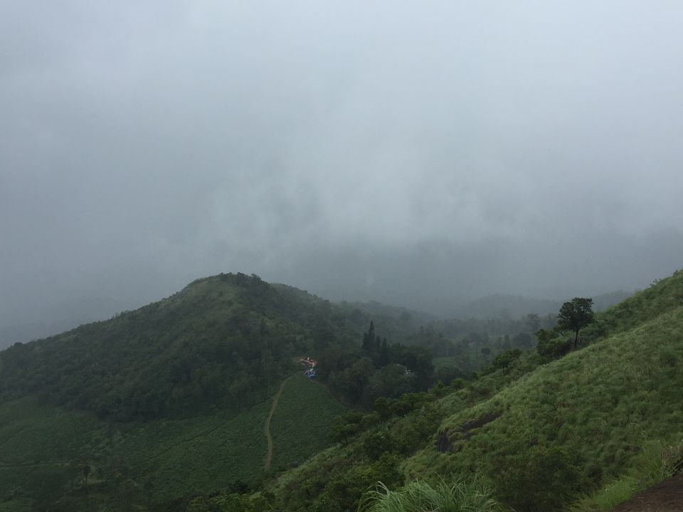 Photo of Wayanad - The South Indian Beauty 5/5 by Isha Borah