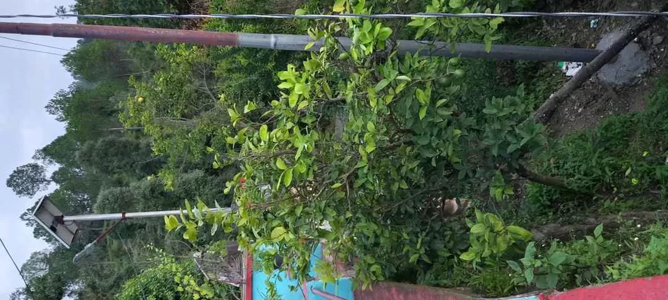 Photo of Satkhol, Uttarakhand, India by Vineet Kumar