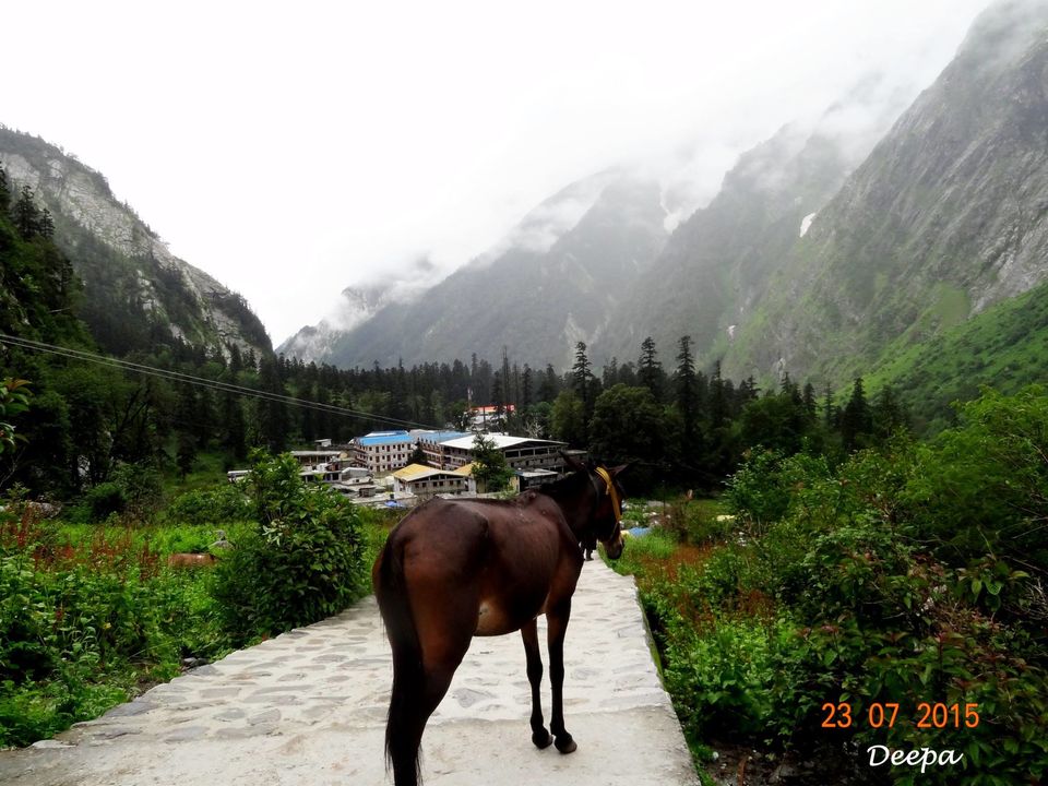 Photo of A Trip to Heaven 16/35 by Deepashree S