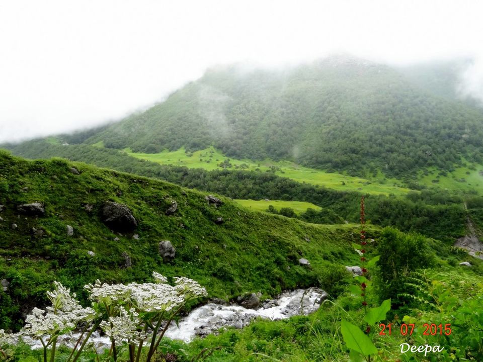 Photo of A Trip to Heaven 28/35 by Deepashree S