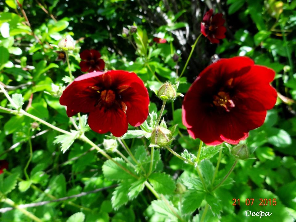 Photo of A Trip to Heaven 24/35 by Deepashree S