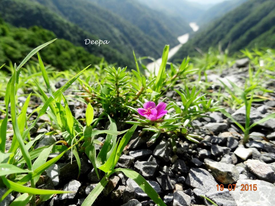 Photo of A Trip to Heaven 4/35 by Deepashree S