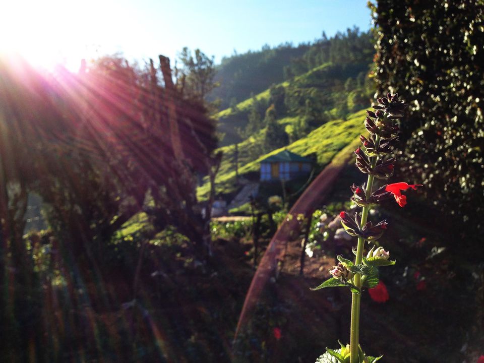 Photo of munnar 6/9 by Usha Kabilan