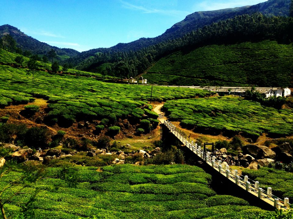 Photo of munnar 2/9 by Usha Kabilan