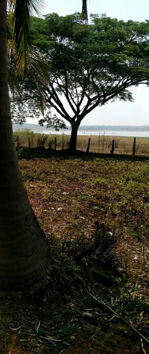 Photo of Kabini river and coorg by Sachin Soni