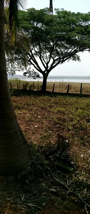 Photo of Kabini river and coorg by Sachin Soni