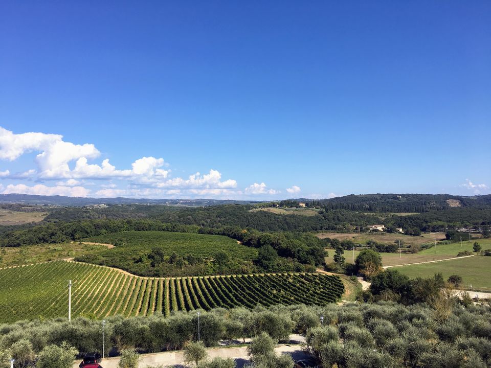 Photo of India to Italy - Part 2 (Tuscany, Florence, Venice) 3/20 by Shilpi A Bhabhra