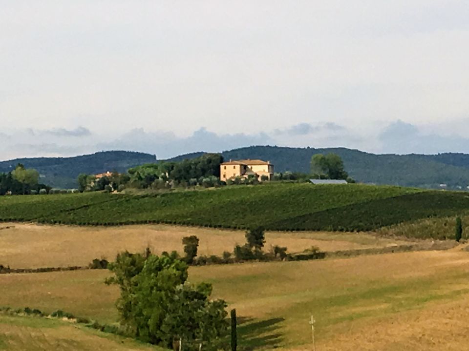 Photo of India to Italy - Part 2 (Tuscany, Florence, Venice) 7/20 by Shilpi A Bhabhra