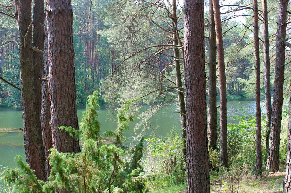 Photo of Druskininkai: Spa, Europe and Lake! 2/5 by Karen Lakeman