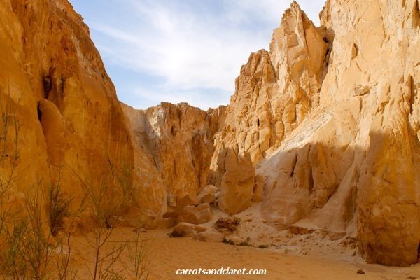 Photo of Fun and Dissent in the Sinai Desert 6/8 by Karen Lakeman
