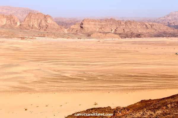 Photo of Fun and Dissent in the Sinai Desert 7/8 by Karen Lakeman