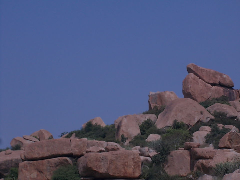Photo of The lost land of champions 8/9 by Susmita Mukherjee