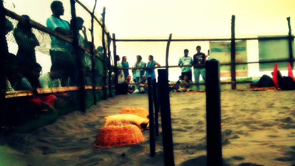 Photo of Charming Velas 9/11 by Elita