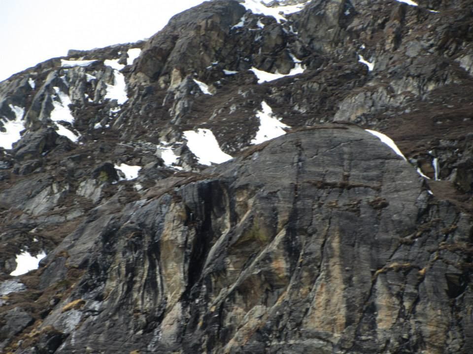 Photo of Sikkim: Hills Calling 120/158 by Mills Banerjee