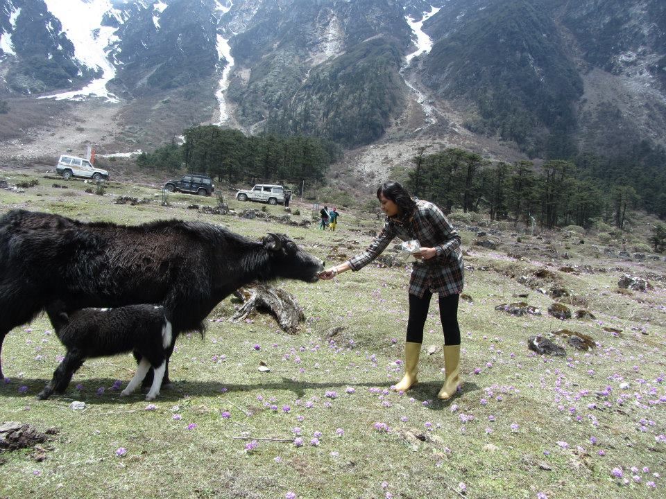 Photo of Sikkim: Hills Calling 136/158 by Mills Banerjee