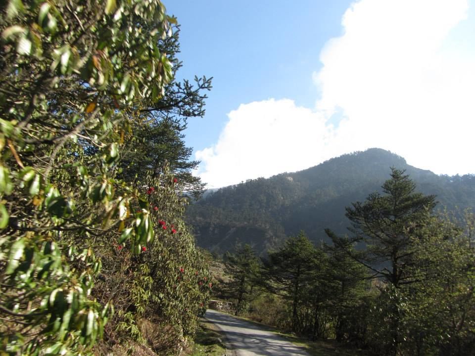 Photo of Sikkim: Hills Calling 63/158 by Mills Banerjee