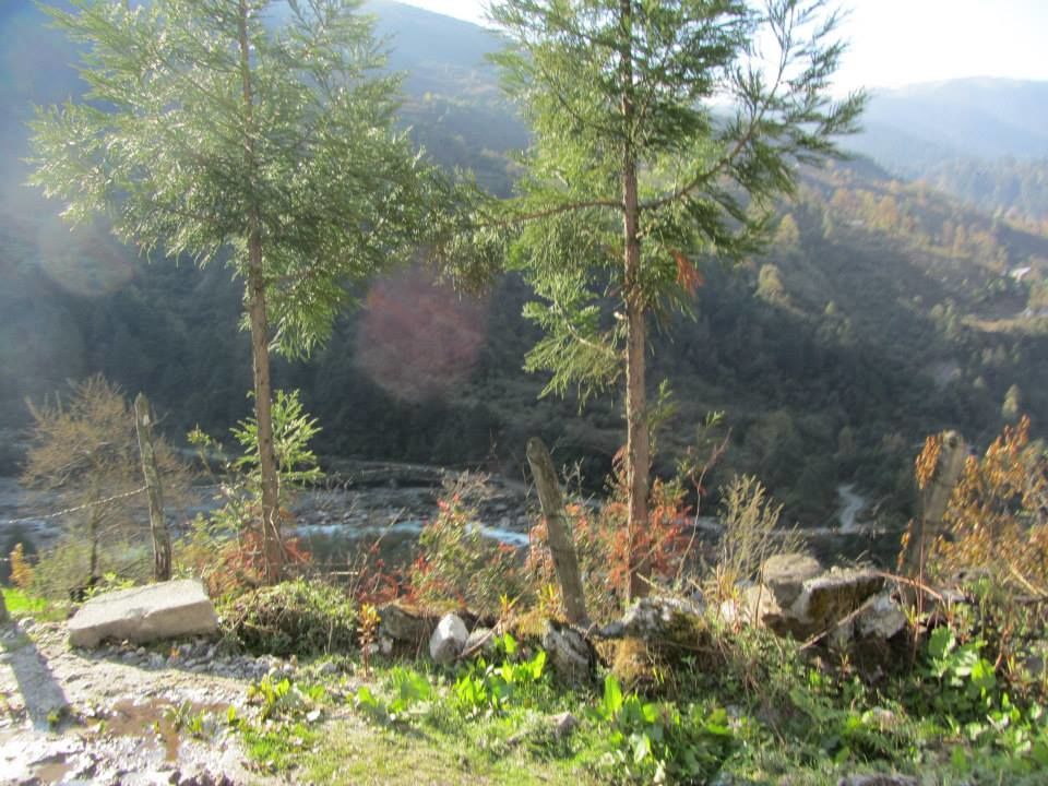 Photo of Sikkim: Hills Calling 12/158 by Mills Banerjee