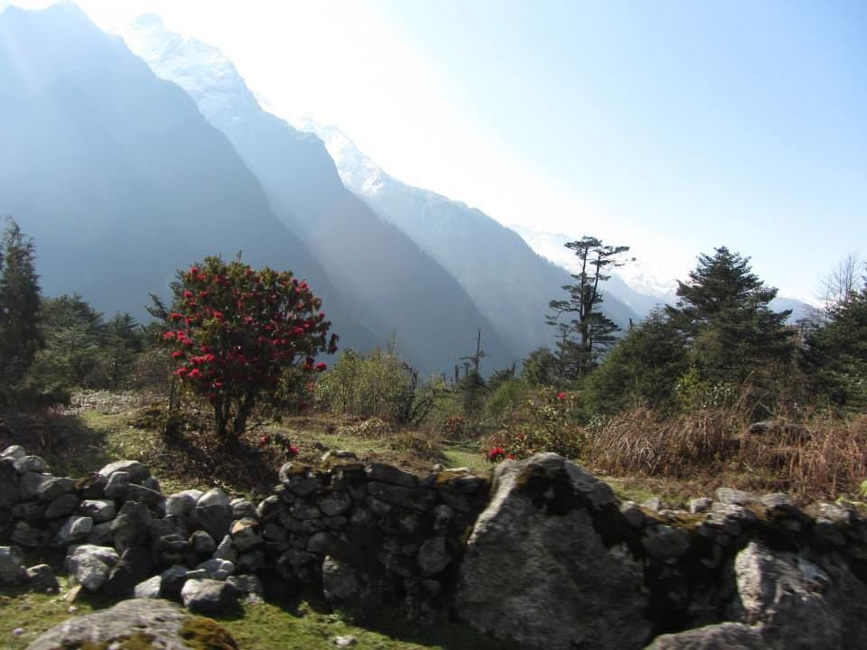 Photo of Sikkim: Hills Calling 70/158 by Mills Banerjee