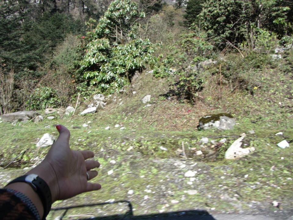 Photo of Sikkim: Hills Calling 62/158 by Mills Banerjee