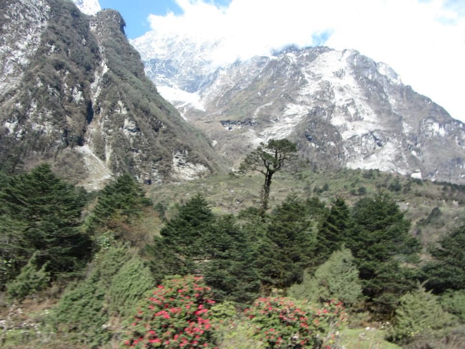 Photo of Sikkim: Hills Calling 68/158 by Mills Banerjee