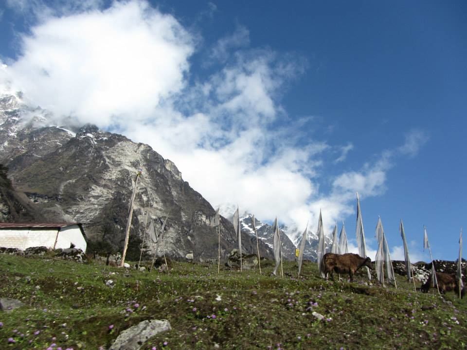 Photo of Sikkim: Hills Calling 55/158 by Mills Banerjee